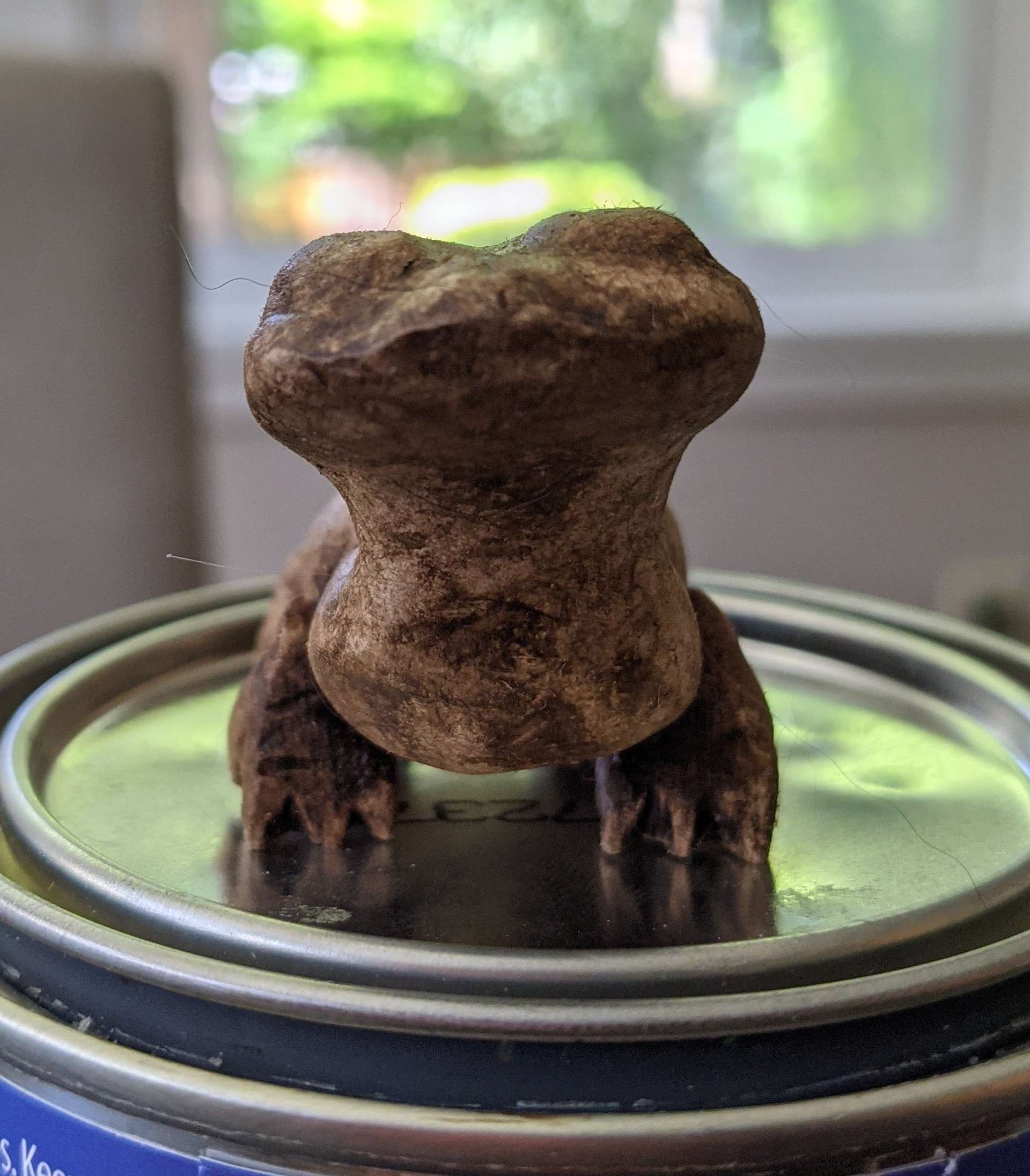 The salamander from Frozen 2